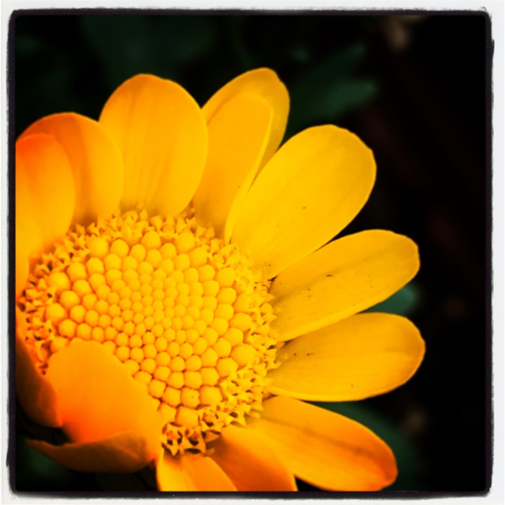 2016/3/19『 GroundPianoと生歌と。vol.1 』DL販売開始。