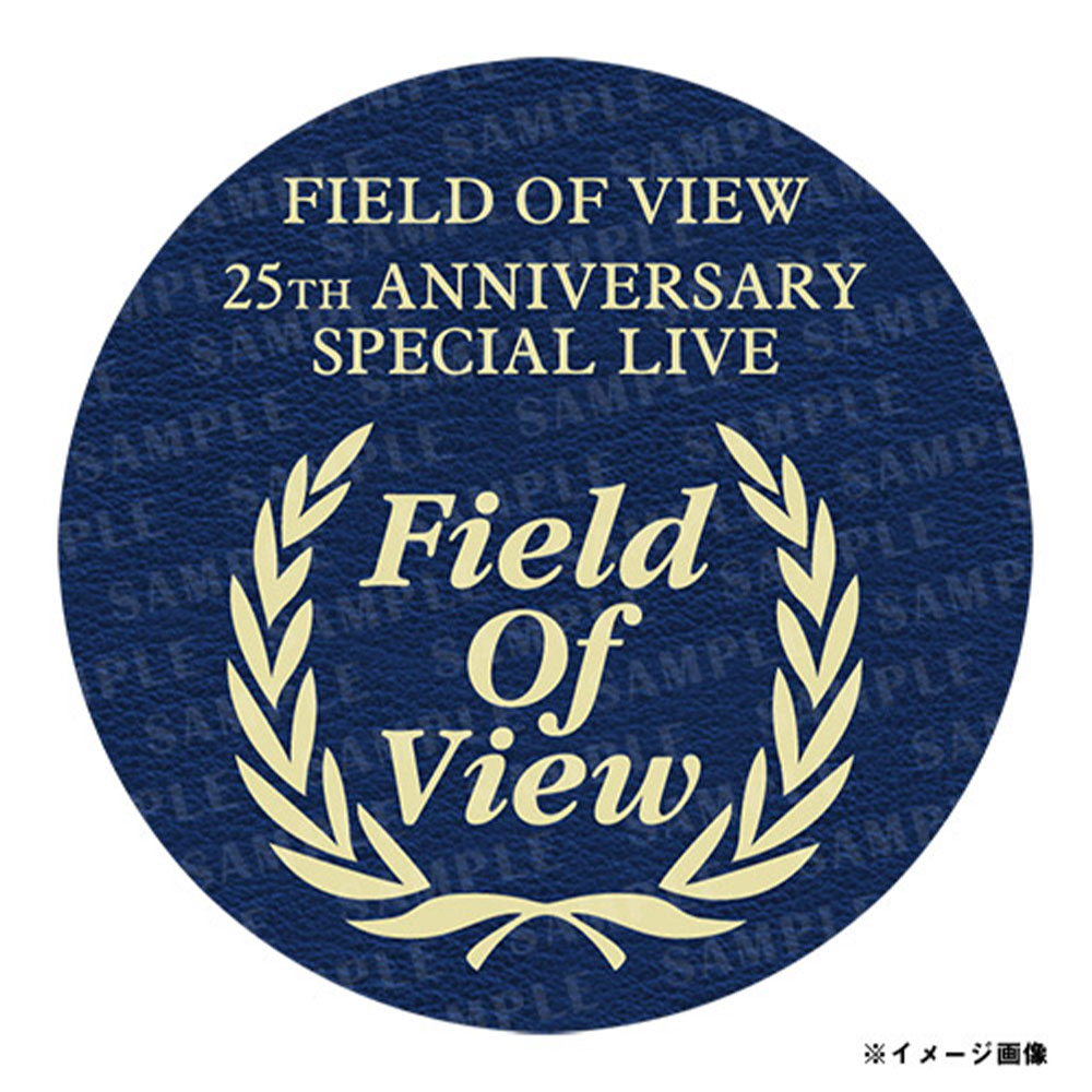 the FIELD OF VIEW　DVD　フィールドオブビュー
